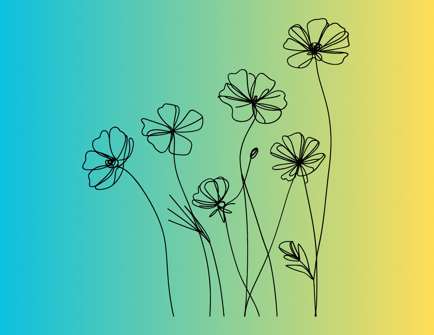 5 Insightful Questions