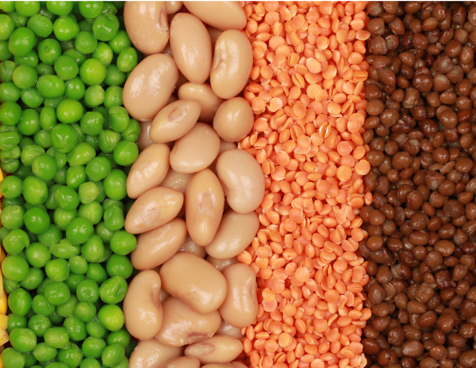Beans, peas, peanuts - the Story
