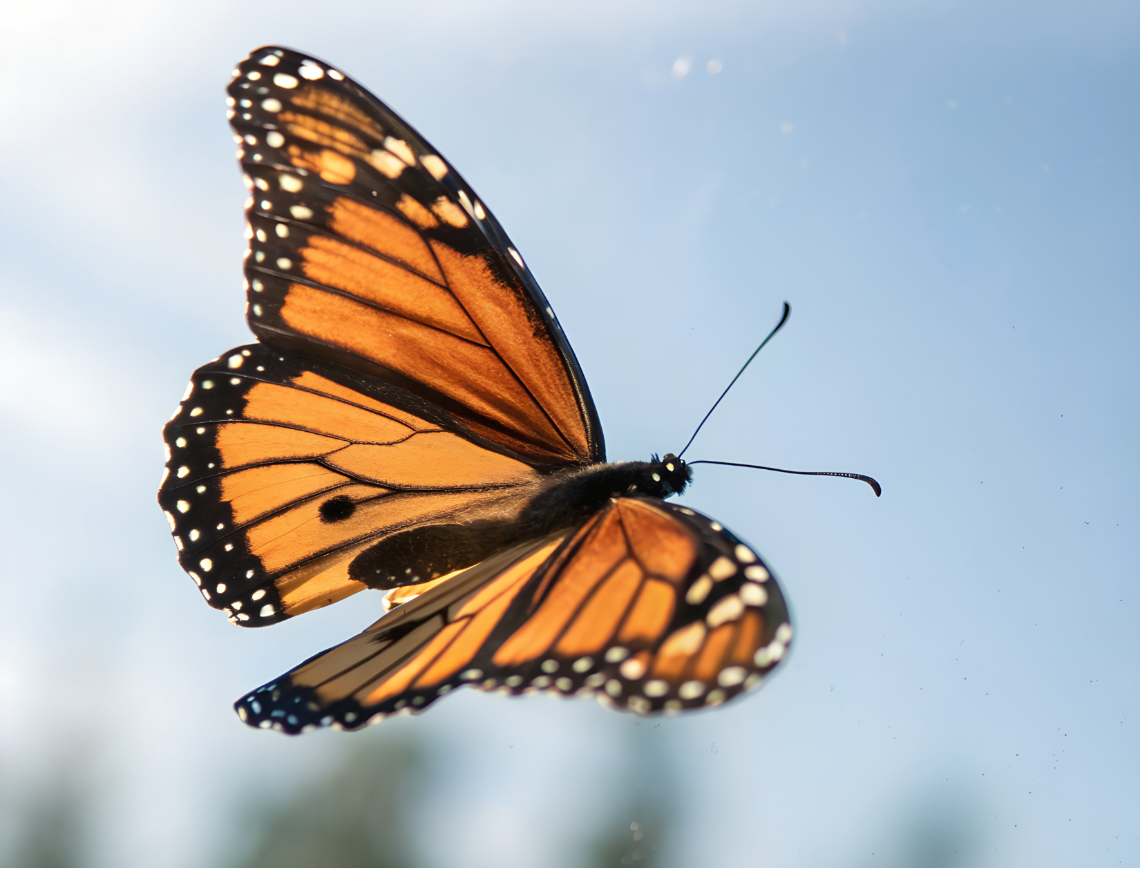 Guiding life's journey